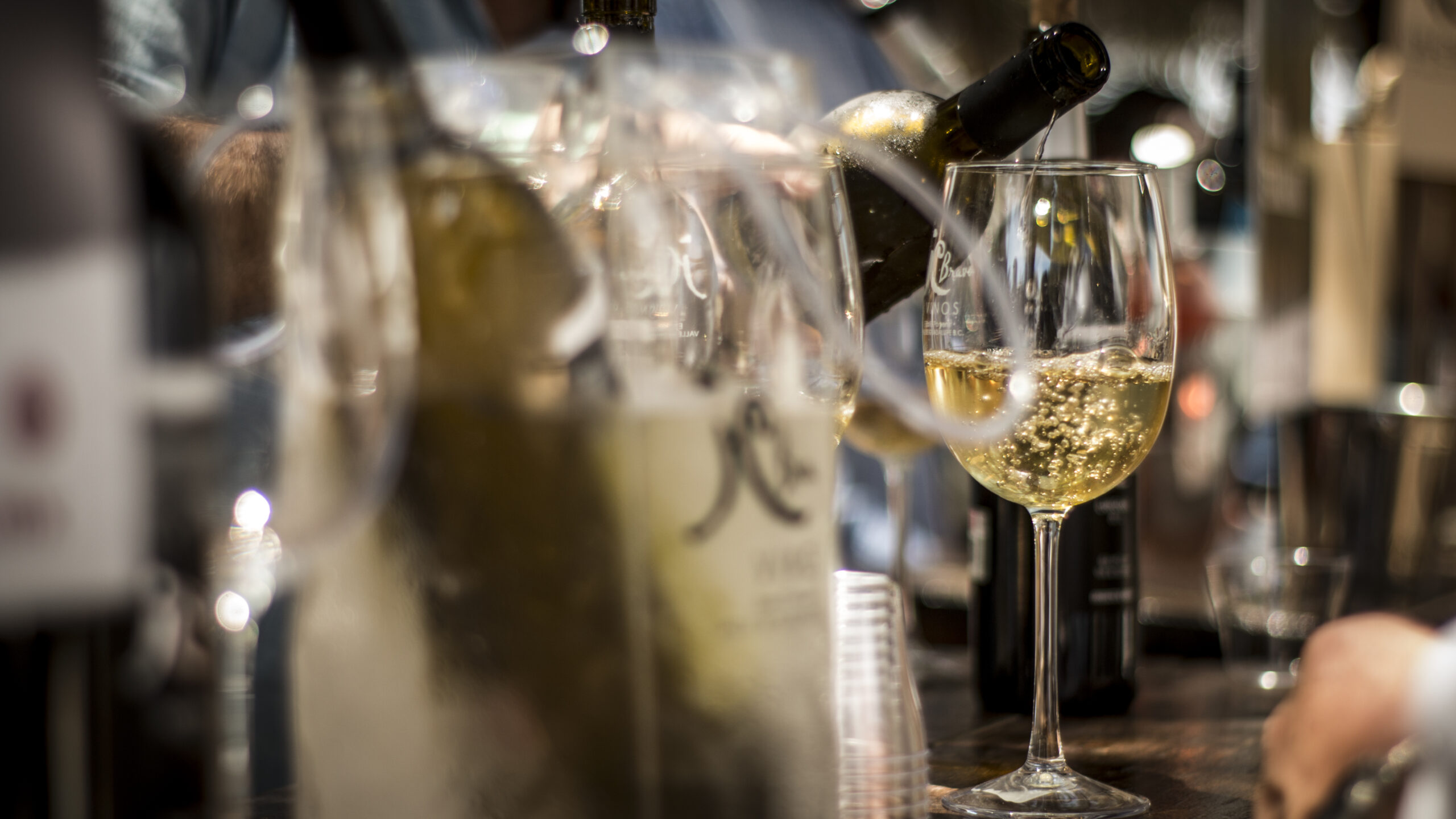 Copas de vino blanco y tinto – Juego de copas de vino clásicas prémium de  14 onzas para organizar varias fiestas y ocasiones – Copas de vino de tallo